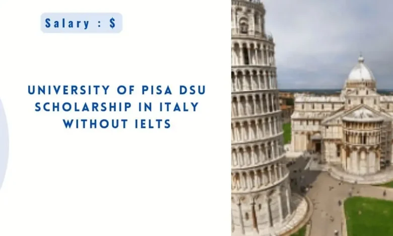 University of Pisa DSU Scholarship