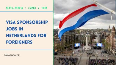 Visa Sponsorship Jobs in Netherlands for Foreigners