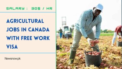 Agricultural Jobs in Canada with Free Work Visa