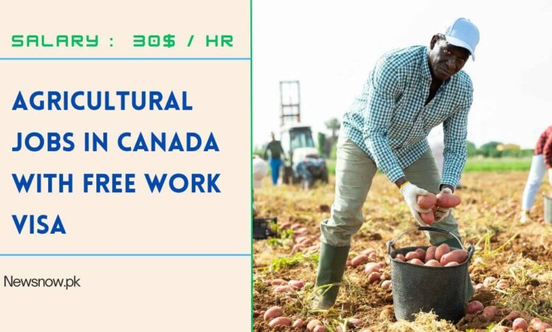 Agricultural Jobs in Canada with Free Work Visa