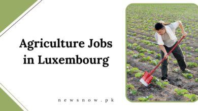 Agriculture Jobs in Luxembourg