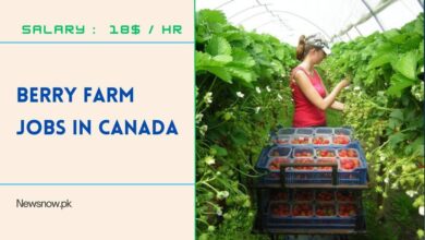 Berry Farm Jobs in Canada