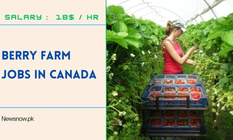 Berry Farm Jobs in Canada