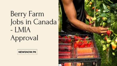 Berry Farm Jobs in Canada - LMIA Approval