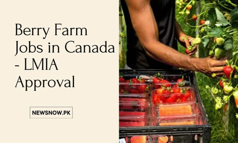 Berry Farm Jobs in Canada - LMIA Approval