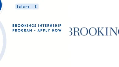 Brookings Internship Program