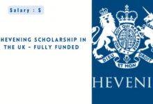 Chevening Scholarship in the UK