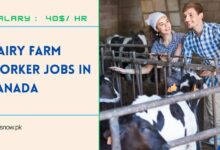 Dairy Farm Worker Jobs in Canada