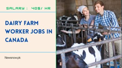 Dairy Farm Worker Jobs in Canada