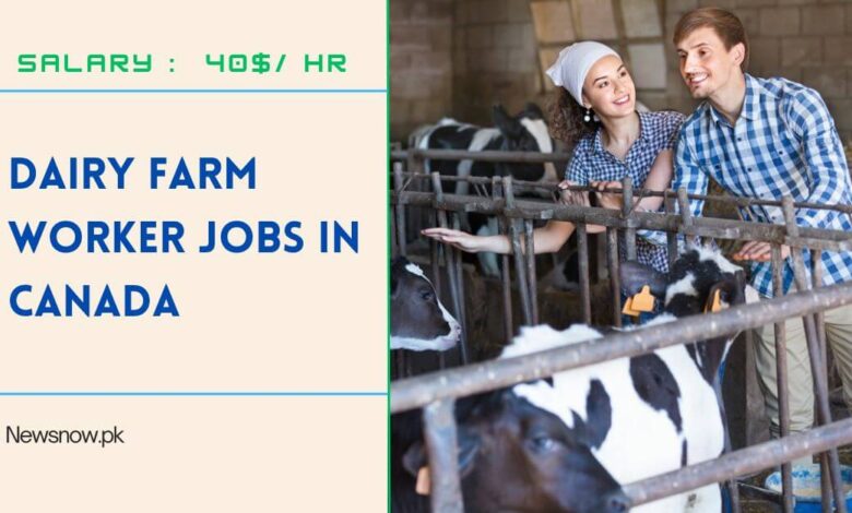 Dairy Farm Worker Jobs in Canada