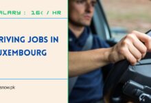 Driving Jobs in Luxembourg