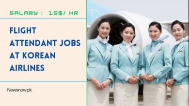 Flight Attendant Jobs At Korean Airlines