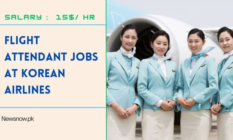 Flight Attendant Jobs At Korean Airlines