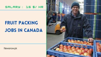 Fruit Packing Jobs in Canada