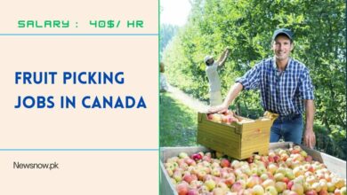 Fruit Picking Jobs in Canada