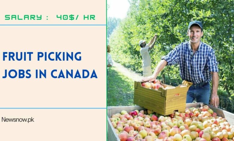 Fruit Picking Jobs in Canada