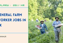 General Farm Worker Jobs in UK