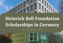 Heinrich Boll Foundation Scholarships in Germany