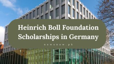 Heinrich Boll Foundation Scholarships in Germany