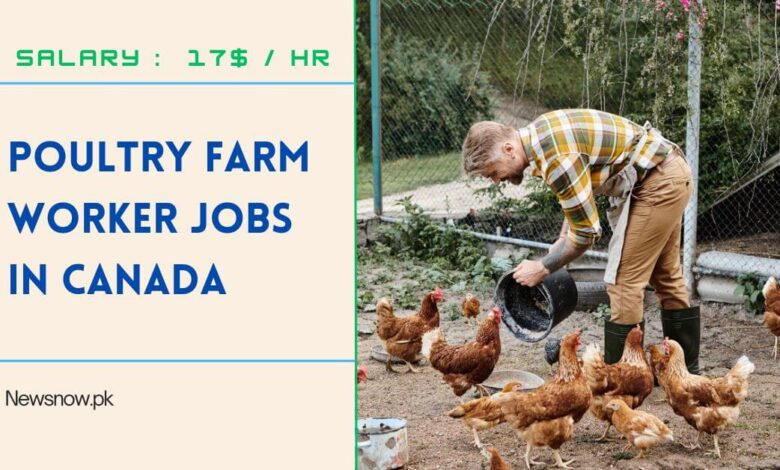 Poultry Farm Worker Jobs in Canada