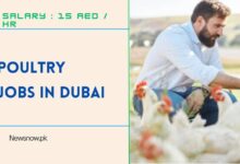 Poultry Jobs in Dubai