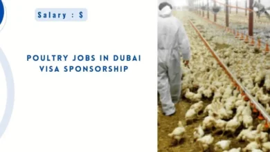 Poultry Jobs in Dubai