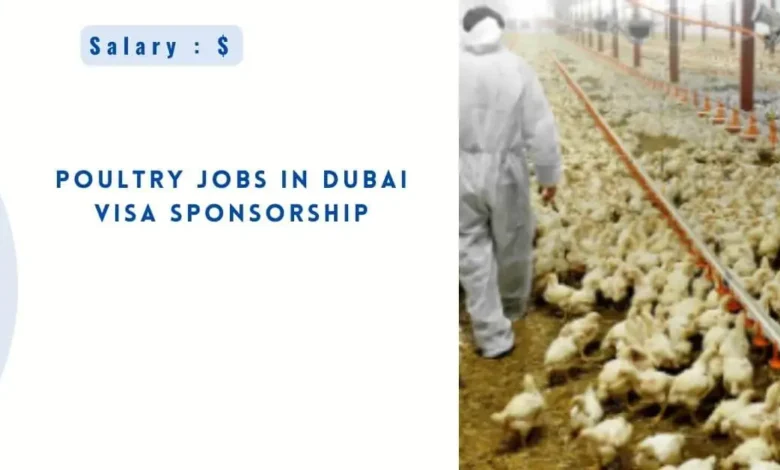 Poultry Jobs in Dubai