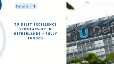 TU Delft Excellence Scholarship