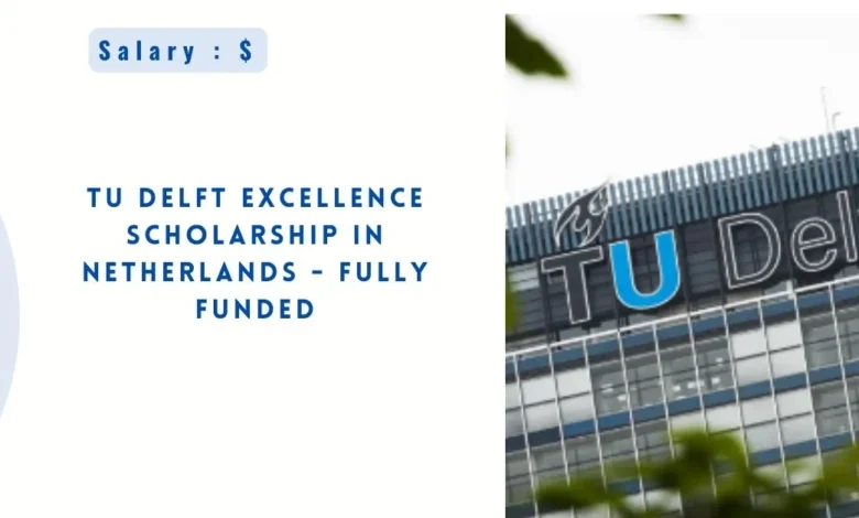 TU Delft Excellence Scholarship