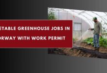 Vegetable Greenhouse Jobs in Norway with Work Permit