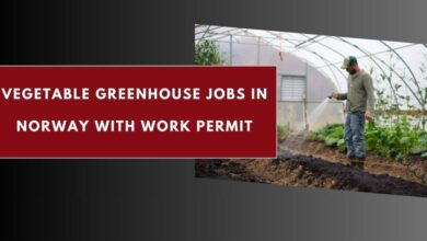 Vegetable Greenhouse Jobs in Norway with Work Permit