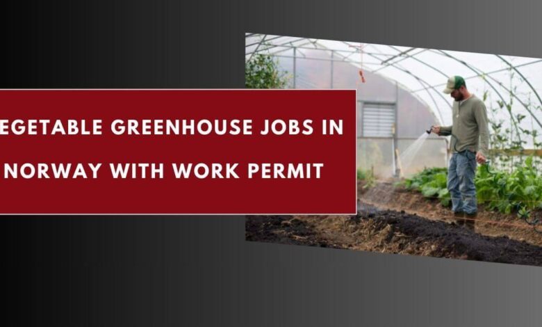 Vegetable Greenhouse Jobs in Norway with Work Permit