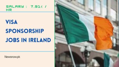 Visa Sponsorship Jobs in Ireland