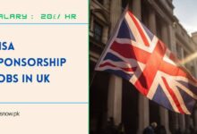 Visa Sponsorship Jobs in UK