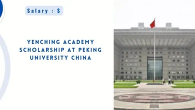 Yenching Academy Scholarship