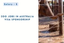 Zoo Jobs in Australia