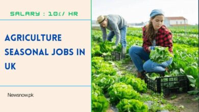 Agriculture Seasonal Jobs in UK