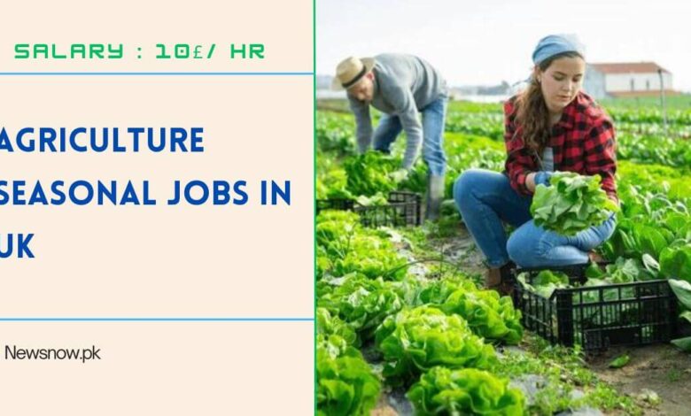 Agriculture Seasonal Jobs in UK