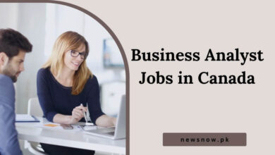 Business Analyst Jobs in Canada