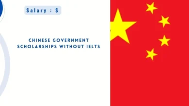 Chinese Government Scholarships