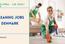 Cleaning Jobs in Denmark