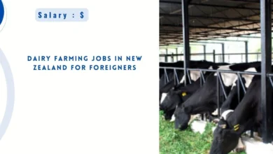 Dairy Farming Jobs in New Zealand