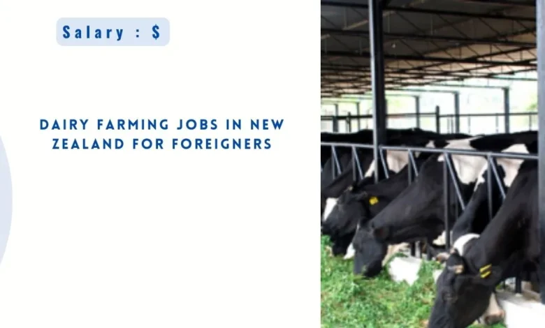 Dairy Farming Jobs in New Zealand