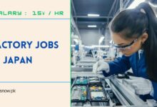 Factory Jobs in Japan