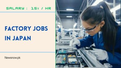 Factory Jobs in Japan