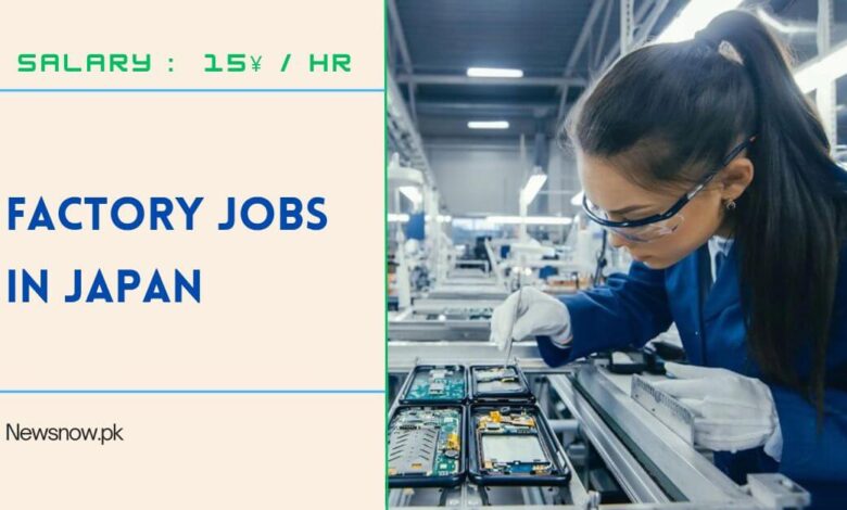 Factory Jobs in Japan