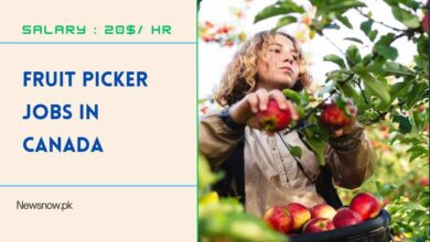 Fruit Picker Jobs in Canada