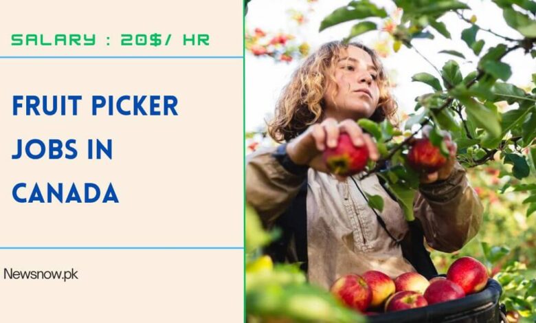 Fruit Picker Jobs in Canada