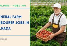 General Farm Labourer Jobs in Canada