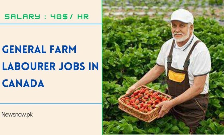 General Farm Labourer Jobs in Canada